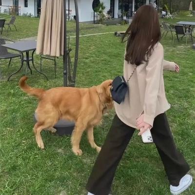 蓝风衣